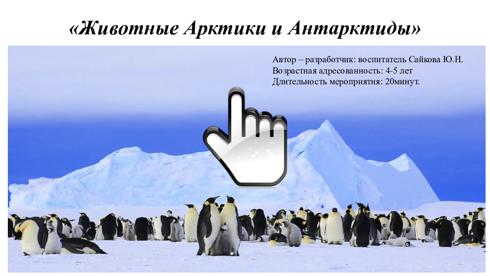 Животные Арктики и Антарктиды 